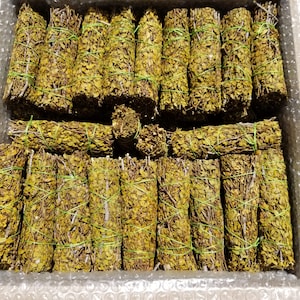 Bundle Of 20 Creosote sticks, handpicked wildcrafted fresh, Arizona desert rain
