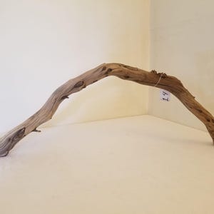 Manzanita 31&quot; Driftwood, Vivarium Branch, Reptile Perch, Reptile climbing Branch Aquarium Centerpiece Decor