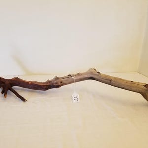 Manzanita 37&quot; Driftwood, Vivarium Branch, Reptile Perch, Reptile climbing Branch Aquarium Centerpiece Decor