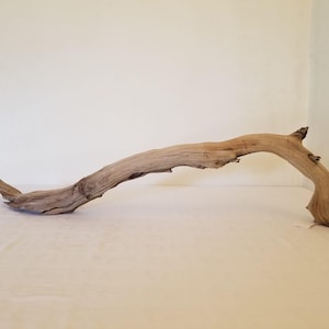 Manzanita 32&quot; Driftwood, Vivarium Branch, Reptile Perch, Reptile climbing Branch Aquarium Centerpiece Decor