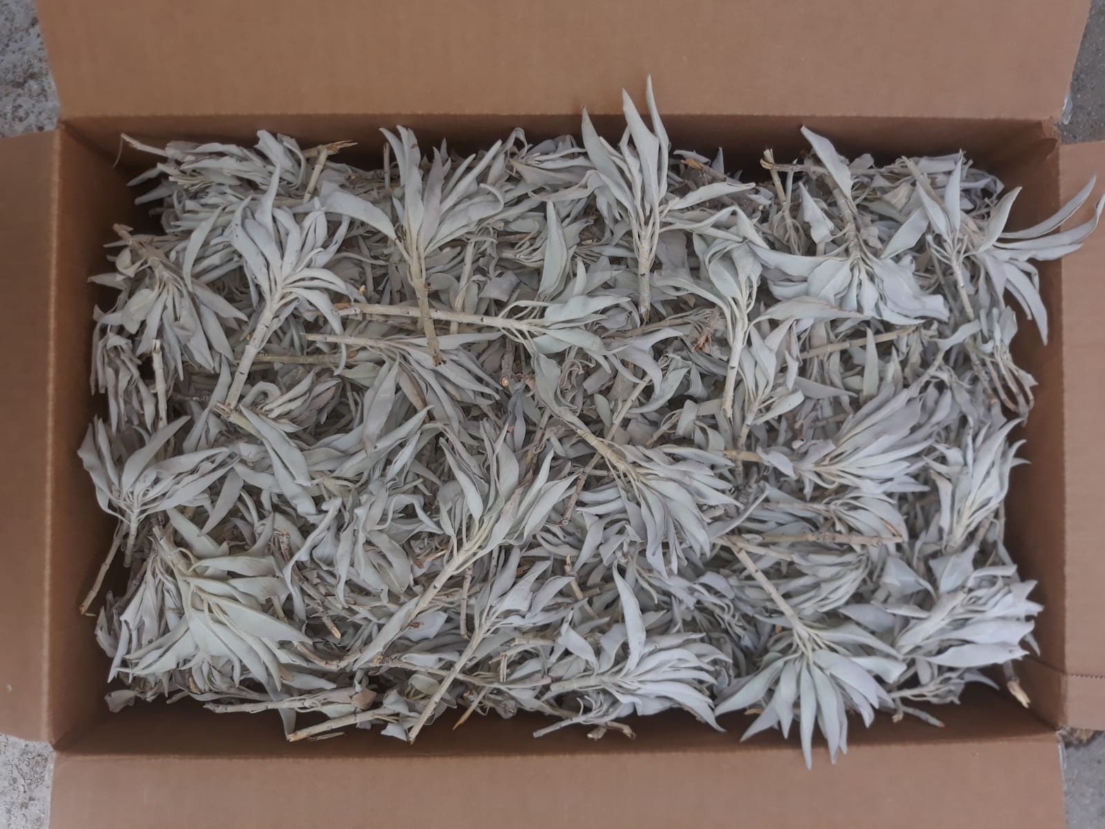 JUNIPER RIDGE - White Sage Loose Leaves (0.5 Lb) & Redwood - View #2