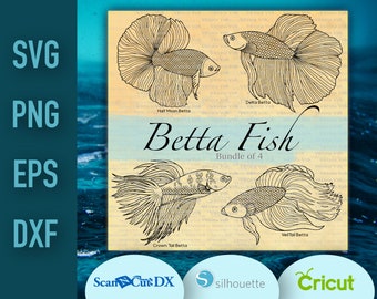 Download Betta Fish Svg Etsy