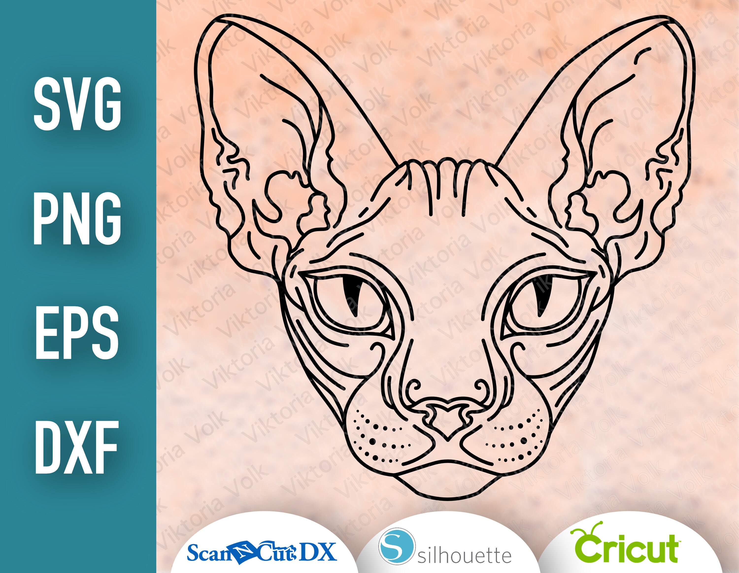Hairless Cat Clipart Sphynx svg png dxf eps Vector Etsy