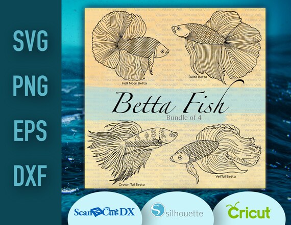 Download Betta Fish Clipart Bundle Of 4 Outlines Svg Png Dxf Eps Etsy