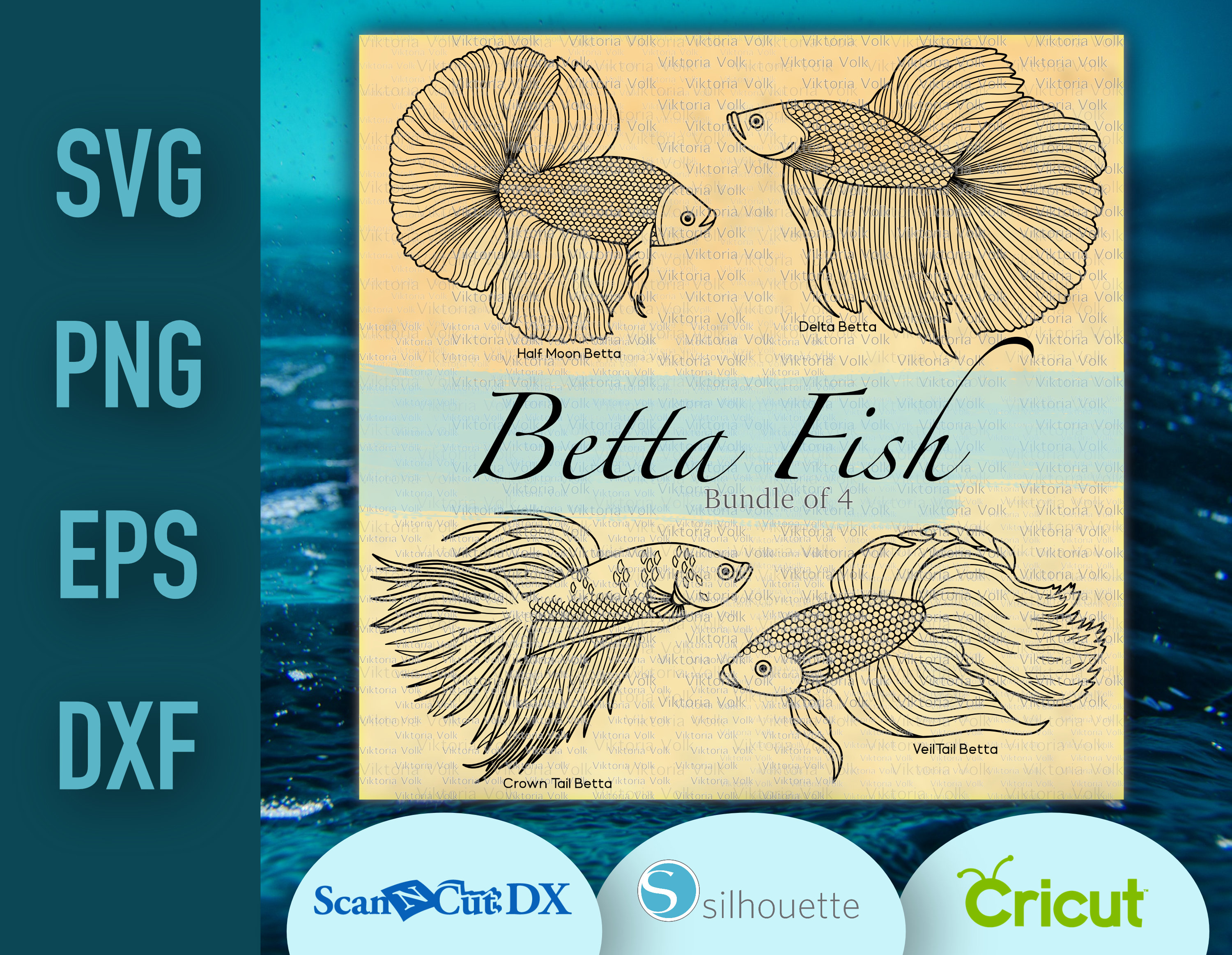Download Betta Fish Clipart Bundle Of 4 Outlines Svg Png Dxf Eps Etsy