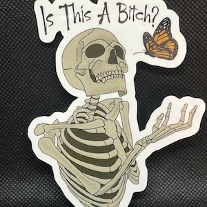 Is This a Bitch?