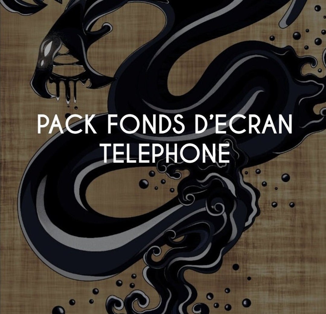 DOFUS, el MMORPG estratégico., image size:1080x1041