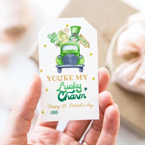 BEARBEITBAR Sie sind Müsli-schlau Mein Glücksbringer Cookie Tag, druckbare St. Patricks Day Marshmallow Müsli Cookie Leckerli Tasche, Geschenkanhänger, DIY