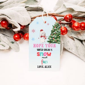 EDITABLE Hope Your Winter Break is Snow Much Fun Tag From Teacher Holiday Gift Tag Printable Kid Christmas Student Classroom Party Favor DIY