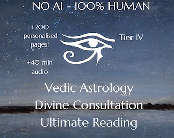 Vedic Astrology Divine Consultation Ultimate Reading All Divisional Charts (Tier IV)