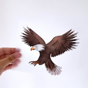 Könnte beinhalten: Eine Aquarell-Illustration eines braunen Weißkopfseeadlers mit weißen Federn an Kopf und Schwanz, der mit ausgebreiteten Flügeln fliegt.