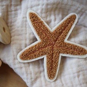 Peut inclure: Une applique en forme d'étoile de mer en feutre marron et blanc avec une surface texturée.