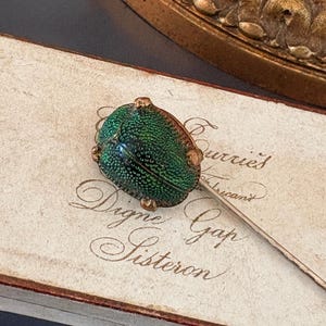 Broche Magnétique De Col – Bleu, Pour Concours équestre, Cravate Stock, Faite Main