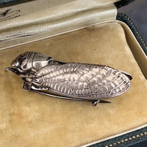 Art Nouveau Antique  Cicada Brooch Pin French Jewel C 1900