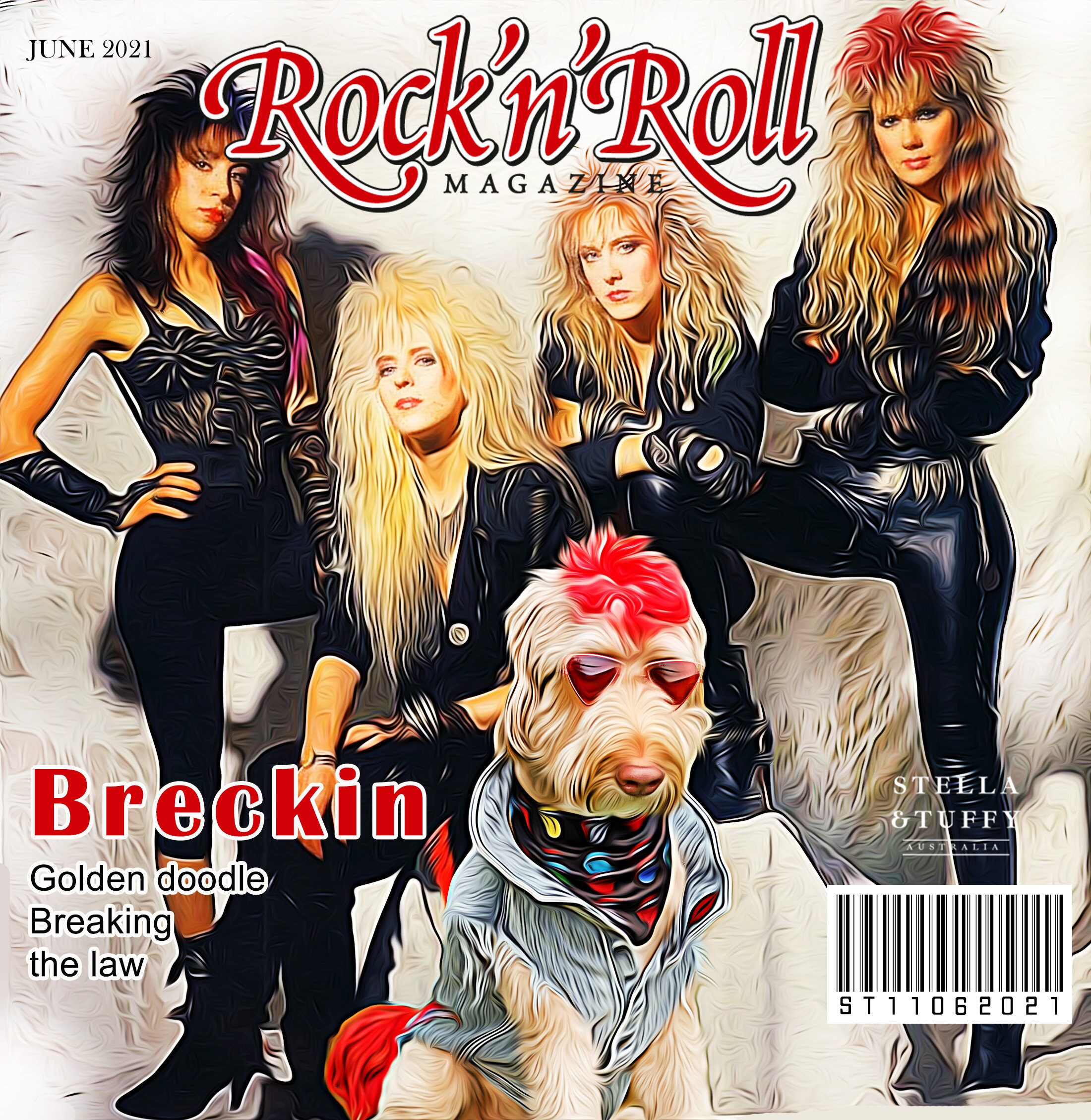 Digital Pet Magazine Cover Style custom magazine cover Etsy