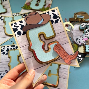 First Rodeo / Not My First Rodeo But My Second Birthday Banner Party Decor