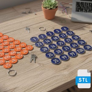 Puede incluir: Dos juegos de llaveros numerados sobre una superficie de madera. Un juego es naranja con números blancos, el otro es azul con números blancos. También se ven llaves y una pequeña planta en maceta.