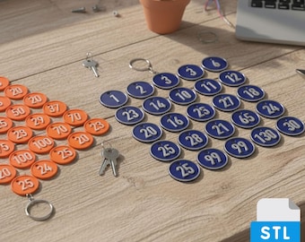 Numbered Keychains STL Set 1-300 | 3D Print Locker & Dog Tags | Customizable Empty Tag Included | 2-Color Print Digital Download