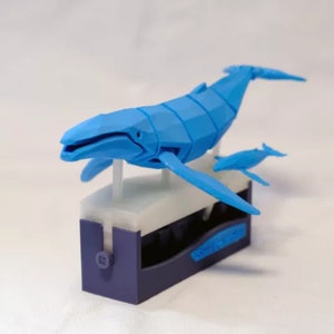 Può includere: Un modello di balena blu stampato in 3D e una balena più piccola, entrambe con un design geometrico. Le balene sono su una base bianca con una base blu e bianca.
