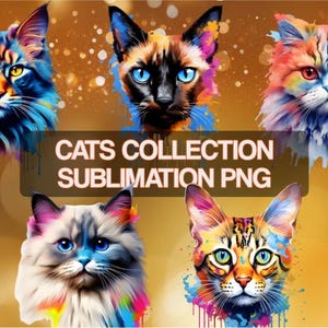 Cats PNG Bundle for Sublimation. Instant Download Digital Postcards. Clip Art Invitation Elements. Poster Greeting Card