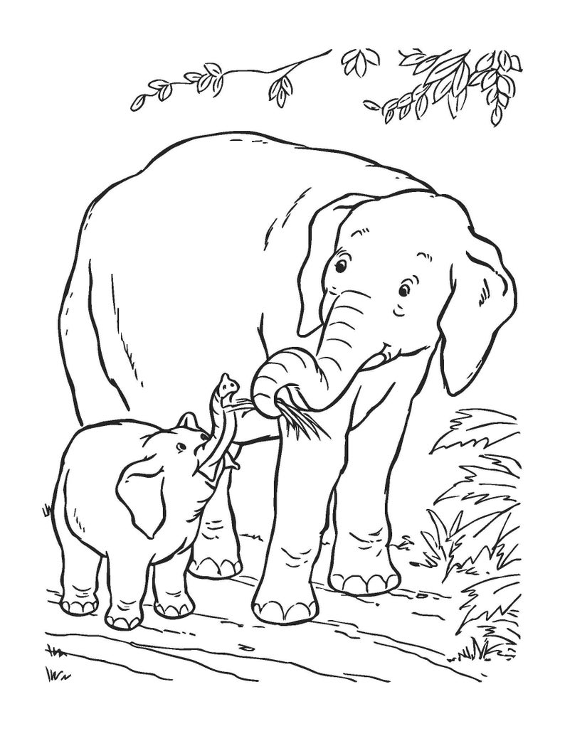 Printable Elephant Coloring Book 20 Pages image 5