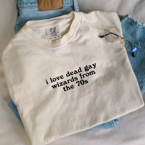Dead gay wizards from the 70s tee, Marauders era shirt, subtle fandom merch, wolfstar tees