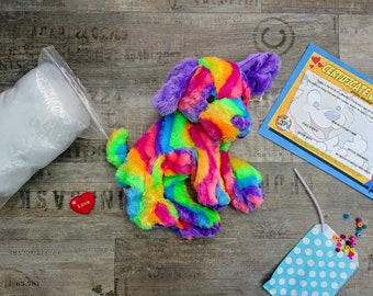 16'' Rainbow Teddy Making Kit
