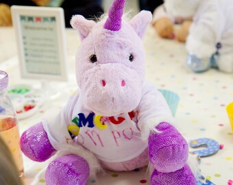 Unicorn Teddy Making Kit