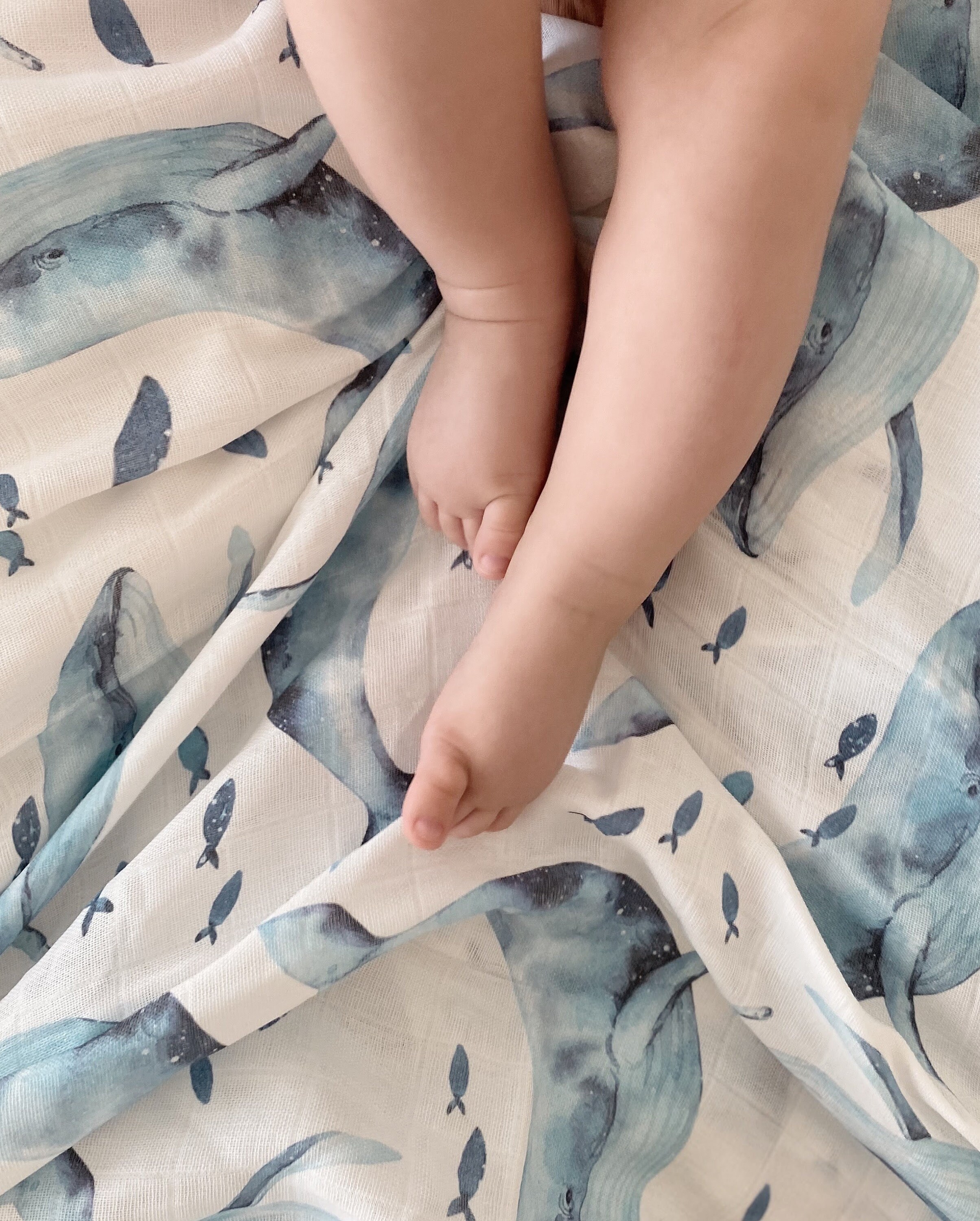 Whale muslin blanket hotsell
