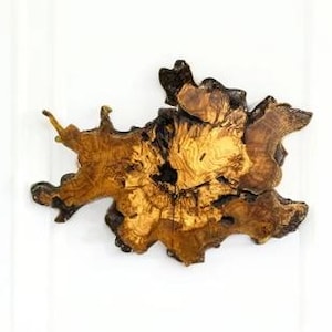 Può includere: Un orologio in legno dalla forma irregolare con un design naturale e organico. L'orologio presenta una calda tavolozza di colori marrone e oro, con venature del legno visibili e un bordo scuro a contrasto. Il quadrante è una fetta di legno naturale.