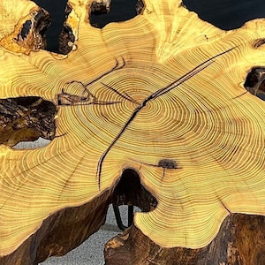 May include: A unique coffee table made from a large, natural wood slice with a live edge. The table has a rustic, organic look and features a natural hole in the center. It is supported by four black hairpin legs.
