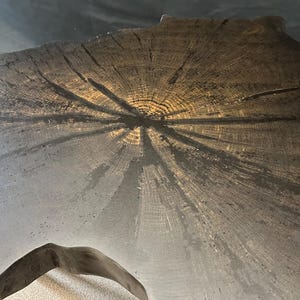May include: A dark brown wooden table top with a unique, irregular shape. The top is made from a tree trunk slice, showing the natural grain and growth rings. The wood has a rich, dark brown color and a smooth, polished finish.
