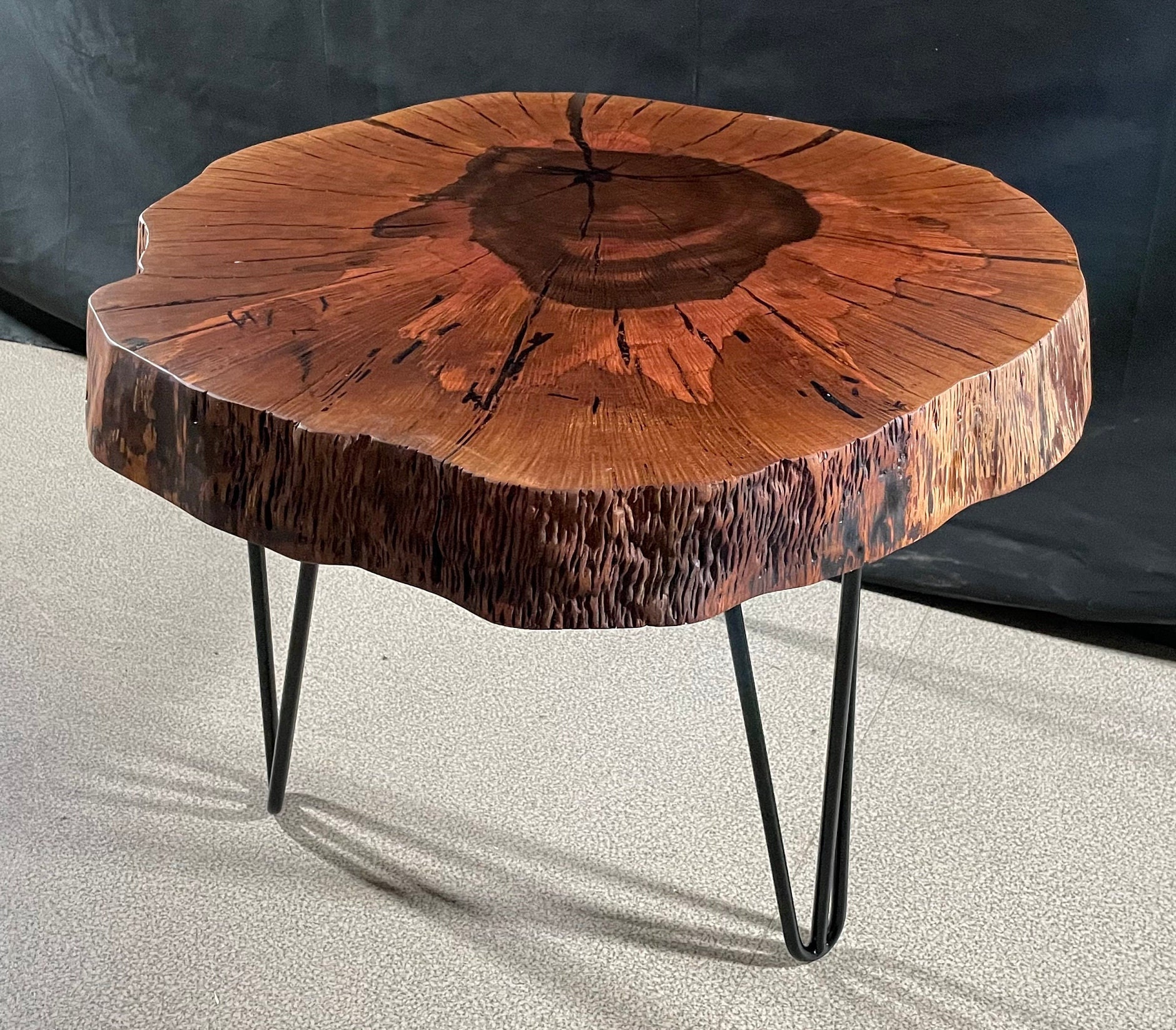 Ancient Holm Oak Coffee Table - Cookie Slab Tree Slice - Diameter