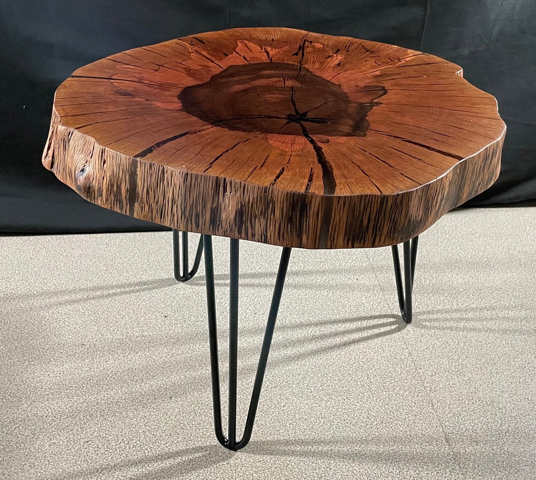 Ancient Holm Oak Coffee Table - Cookie Slab Tree Slice - Diameter