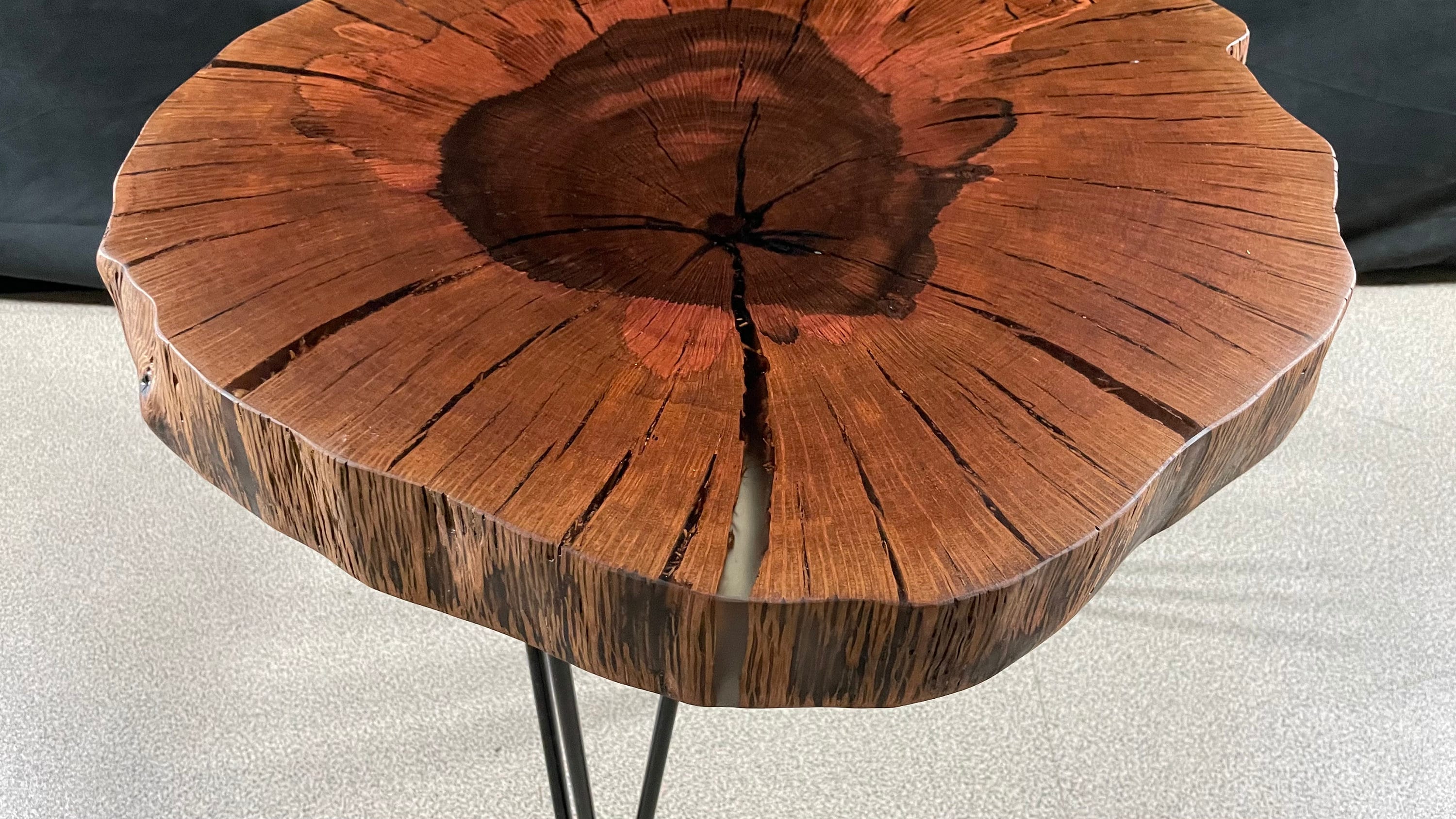 Ancient Holm Oak Coffee Table - Cookie Slab Tree Slice - Diameter