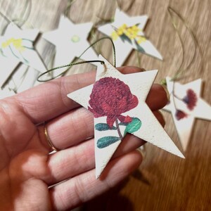 Polymer clay botanical Christmas decorations / tree ornaments. Australian native flowers. Star shaped Christmas tree ornaments.