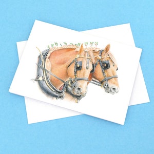 May include: A greeting card with a pencil drawing of two draft horses in harness. The horses have light brown coats, black blinders, and braided manes with green sprigs. The card is on a white background with a light blue backdrop.