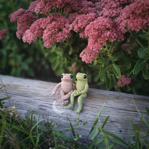 Tiny Frog and Toad Crochet Pattern Bundle, Realistic Amigurumi Frog and Toad Patterns, ENGLISH Only, PDF Pattern
