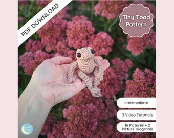 Cute Toad Crochet Pattern PDF, Amigurumi Toad Crochet Pattern, Tiny Crochet Toad, Crochet Toad Toy Pattern, ENG Only