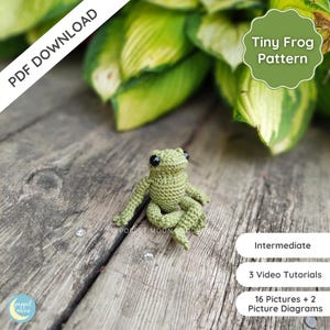 Cute Frog Crochet Pattern PDF, Amigurumi Frog Crochet Pattern, Tiny Crochet Frog, Crochet Frog Toy Pattern, ENG Only