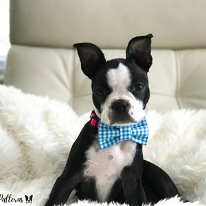 Dog Bow Tie Sew Pattern/Cat Bow Tie Sew Pattern/PDF Sewing Tutorial for Pet Bow Ties/ 3 sizes / Digital/Instant Download image 8