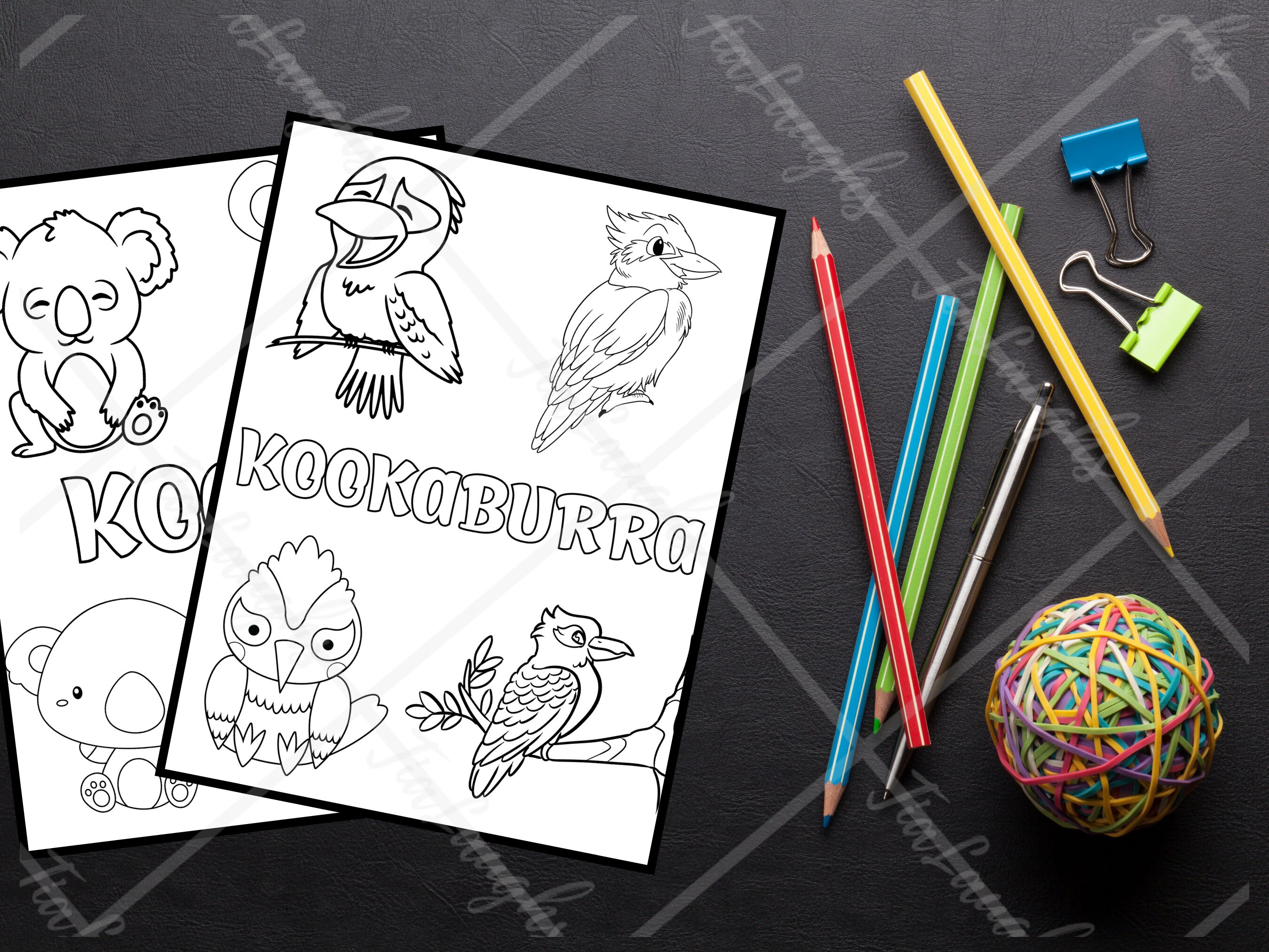10 Australian Animal Coloring Pages for Creative Kids