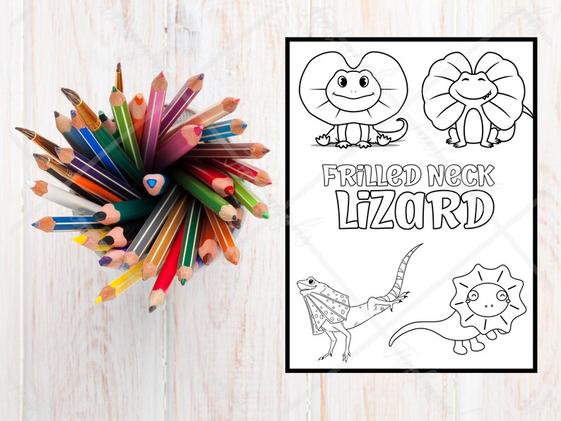 10 Australian Animal Coloring Pages for Creative Kids