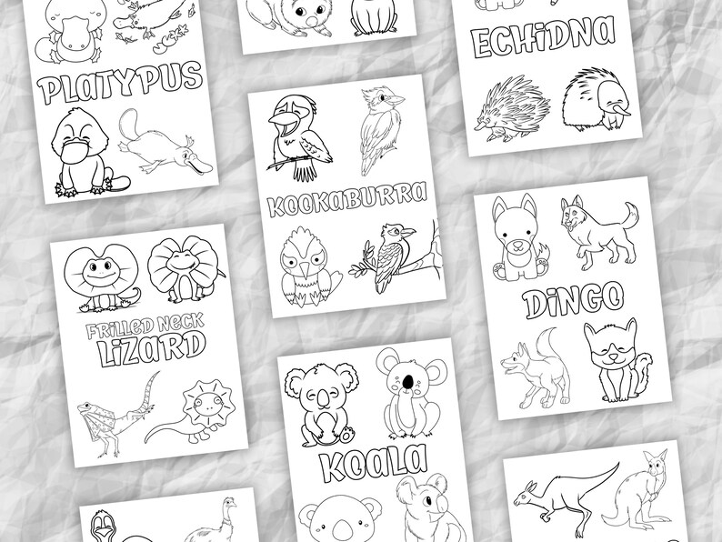 10 Australian Animal Coloring Pages for Creative Kids