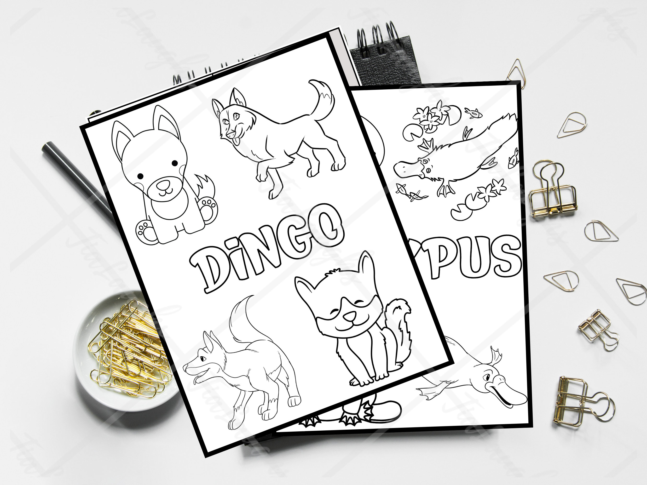 10 Australian Animal Coloring Pages for Creative Kids