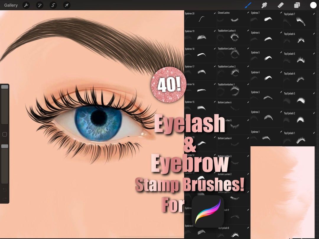 40 Eyelash and Eyebrow Stamps, Procreate Stamps, Procreate Brushes