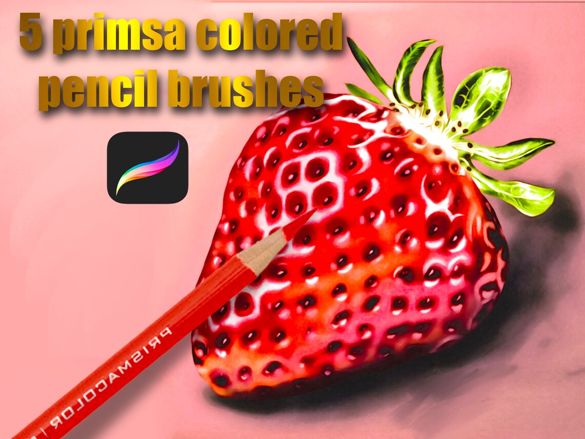 Prisma Colored Pencil Brush Set Pencil Brush Pencil Brushes Etsy