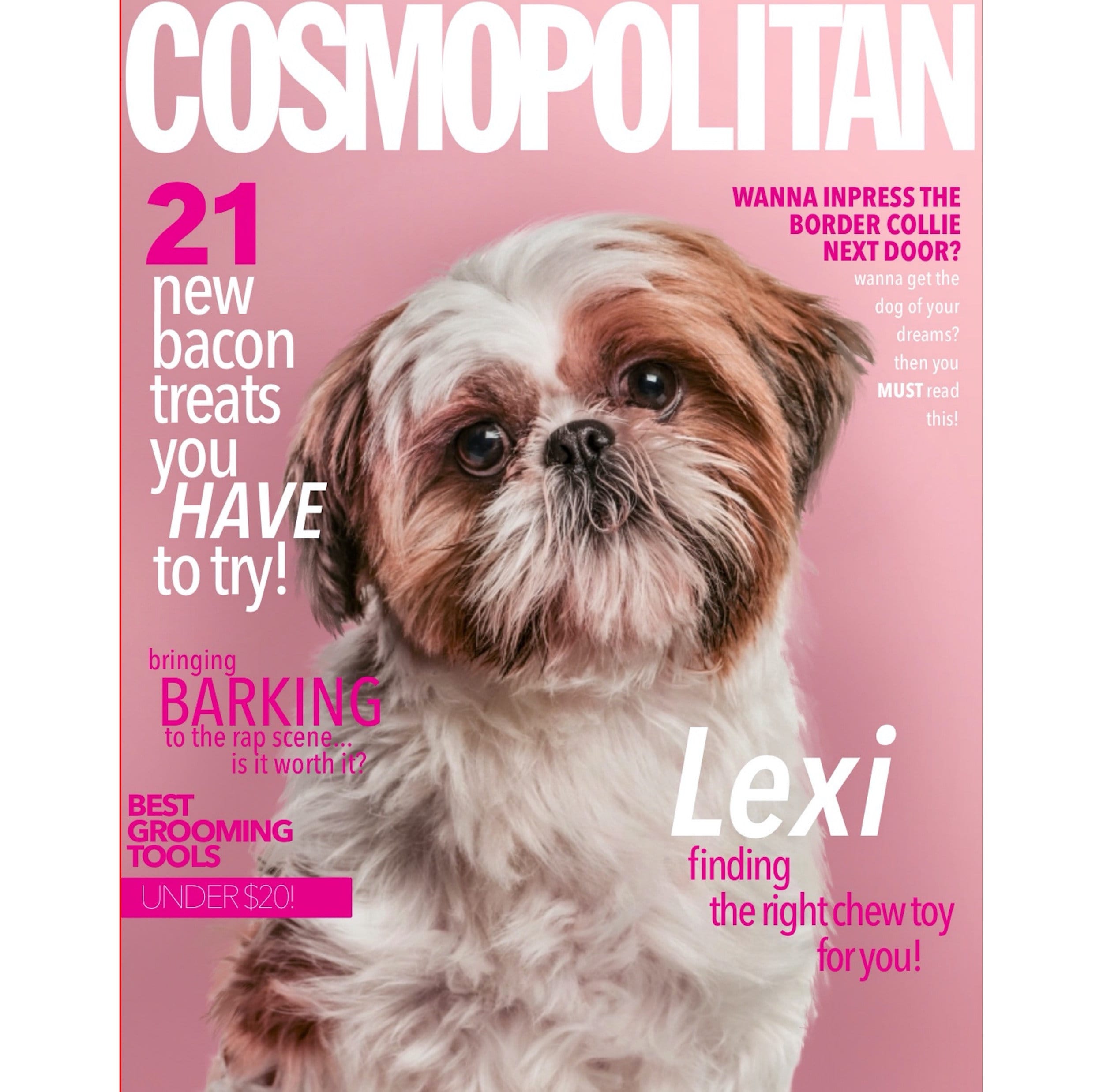 Magazine Cover Pet Portrait Custom Pet Portrait Custom Etsy