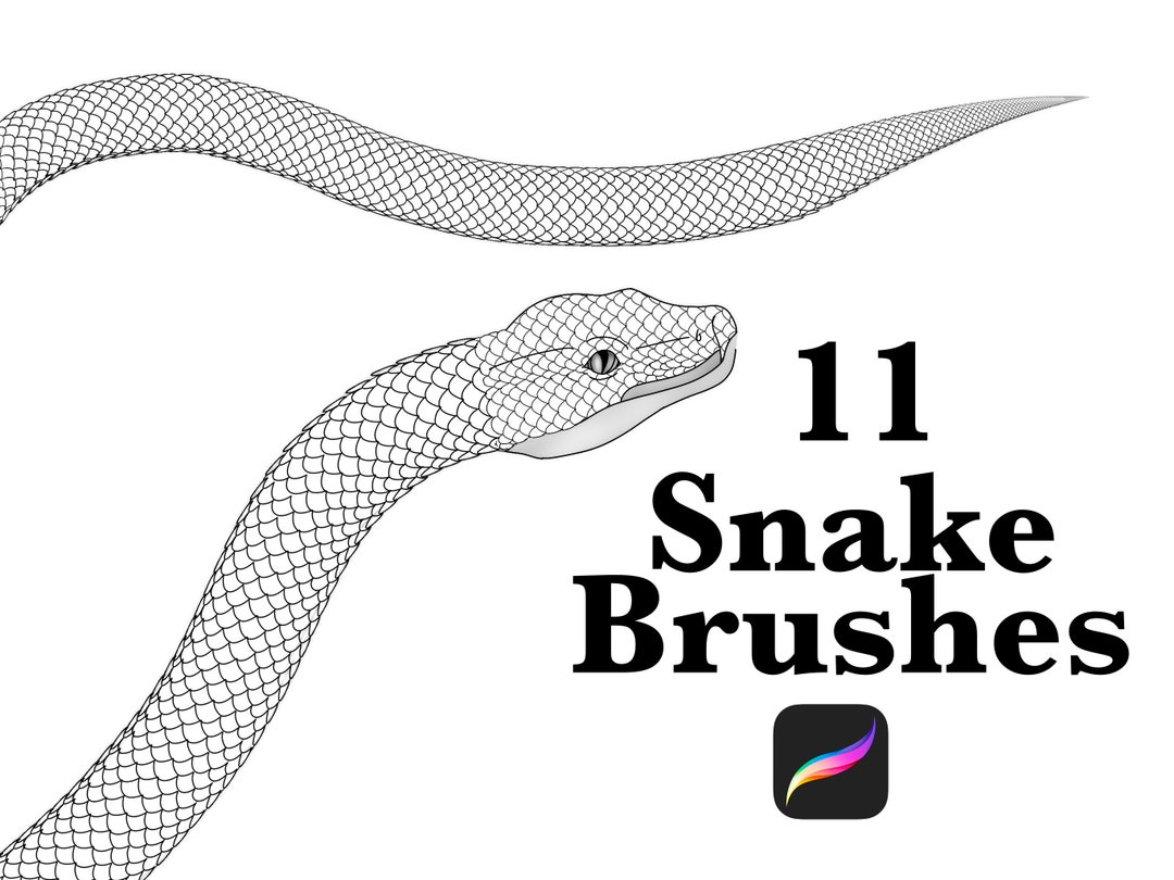 Procreate Snake Scale Brush Set, Snake Scale Brushes, Procreate Braid