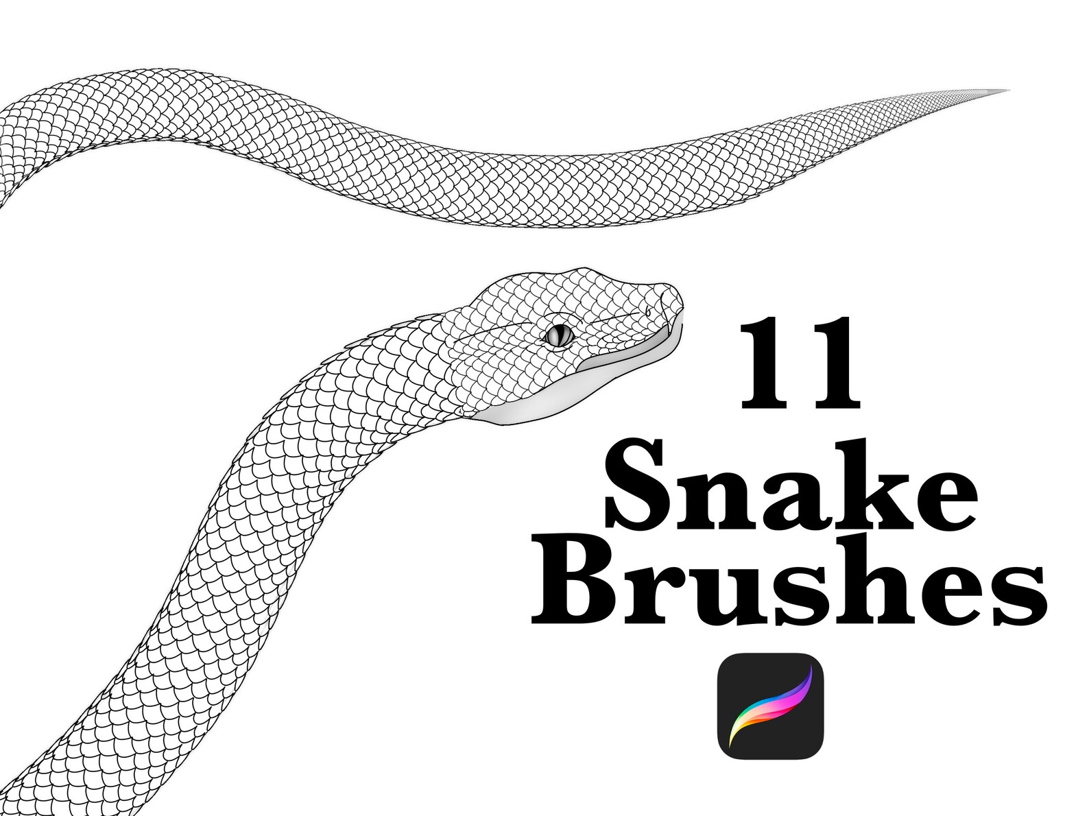 Procreate Snake Scale Brush Set Snake Scale Brushes Etsy